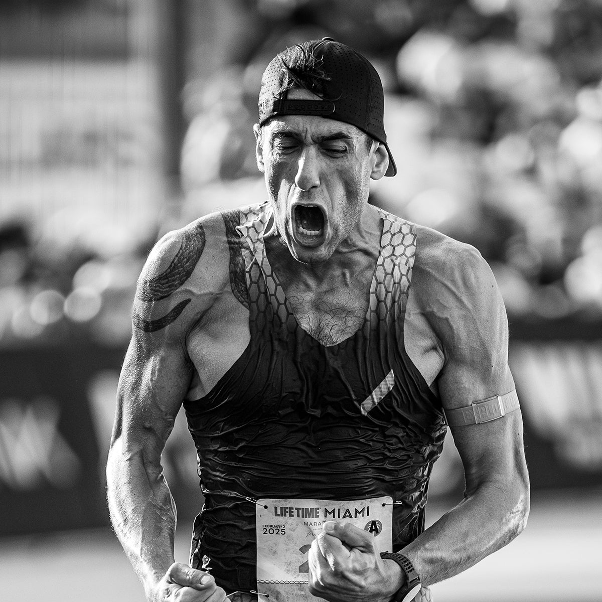 Image of ALEXANDER BEACH