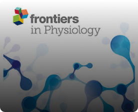 Publication image for Four-Week Heat Acclimation Lowers Carbohydrate Oxidation of Trained Runners During Submaximal Exercise in the Heat