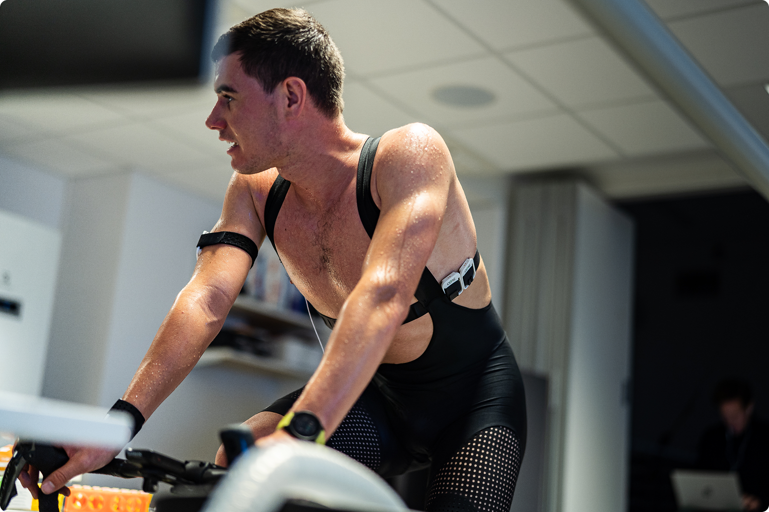 Image for Sports and Exercise Physiology Research